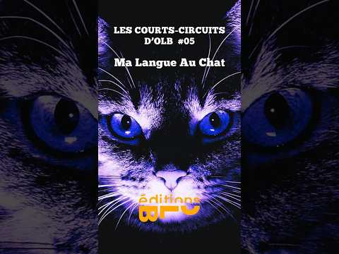 Un enfant pas comme les autres… | Ma Langue Au Chat – Les courts-circuits d’OLB #05