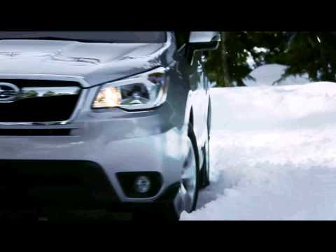 Dzīvē ir ceļi, kas jāatklāj. Subaru palīdzēs.