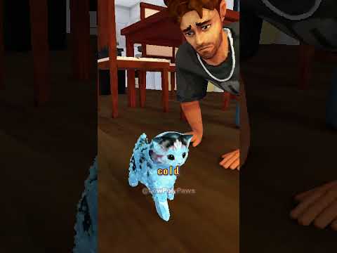Why Cats Hate Getting Wet
