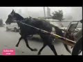 Tanga Bharya Sawaria Naal Masood Rana