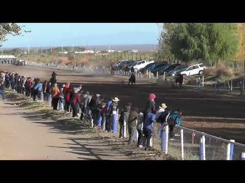 ALLSUF  Club Hípico Cipriano Catriel - Catriel - 23-04-2023