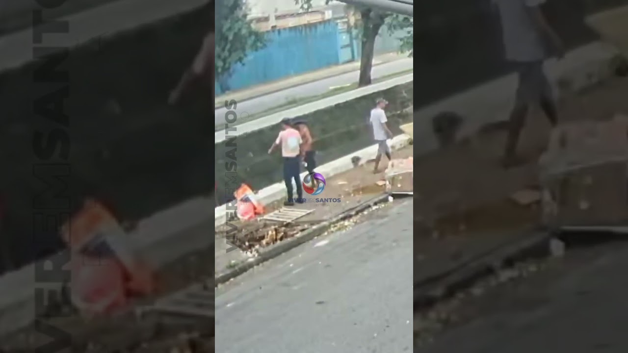 Imagens mostram momento em que homem em situação de rua é atingido por árvore em Santos.