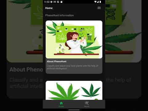 PhenoHunt: Cannabis Grow Log video thumbnail