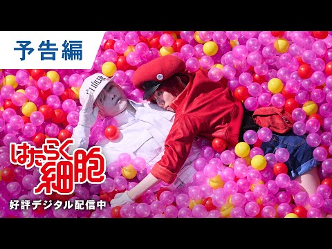 デジタル【予告編】