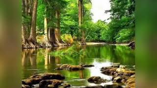 People and The Earth&#39;s Ecosystem(Ang Boses ng ating Kalikasan)