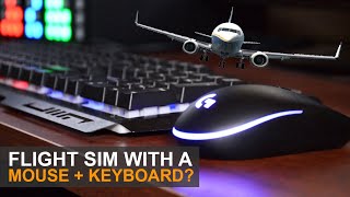 Using A Mouse + Keyboard With A Flight Simulator ?