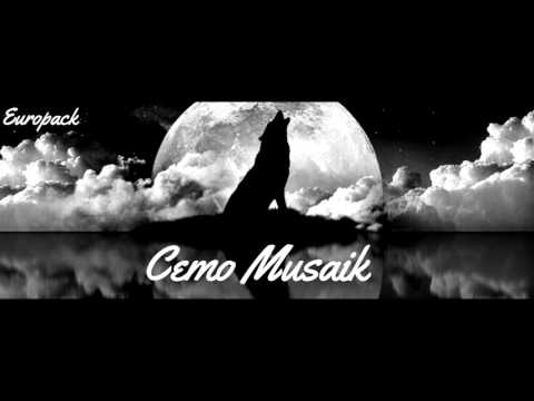 Cemo Musaik - Nie wieder