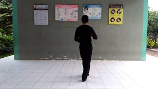 BAILAMOS CHA - LINE DANCE (Walkthrough)