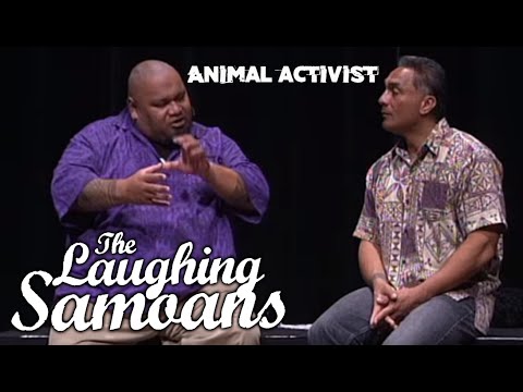 The Laughing Samoans - "Animal Activist" from Prettyfull Woman