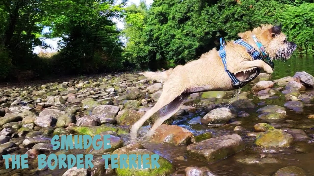 YouTube video preview