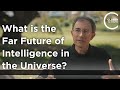 Dimitar Sasselov - What is the Far Future of Intelligence in the Universe?
