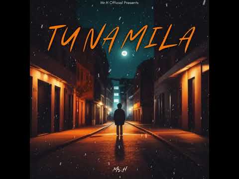 TU NA MILA - Mr.H ( Official Audio ) 2k24
