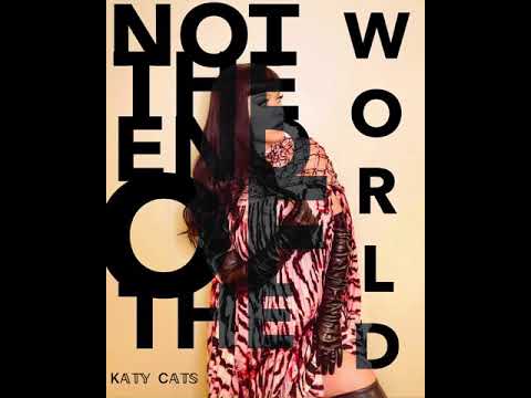 Katy Perry & Unsecret ft. EauClaire Not The End Of The World Interlude w/animated sound!