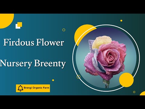 Flower Lovers 💏,,||Firdous Flower Nursery