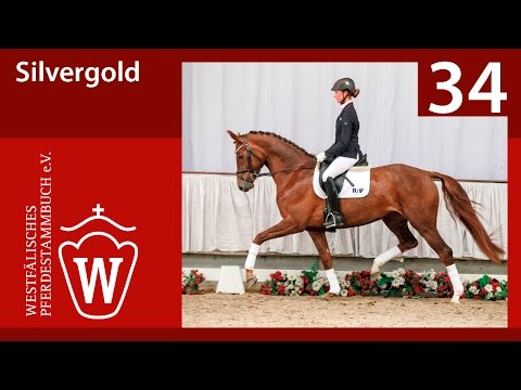 34 Silvergold Stute v. Sir Fidergold - Con Capitol I