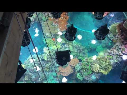 Burgers Ocean achter de schermen