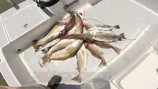 South Texas Red Drum And Speckled Sea Trout Action(Aquaholic Charters)
