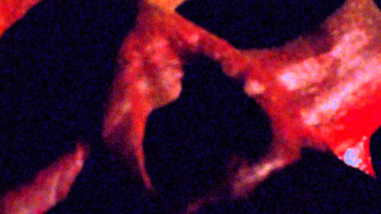 Beneath the Crawlspace Teaser 2