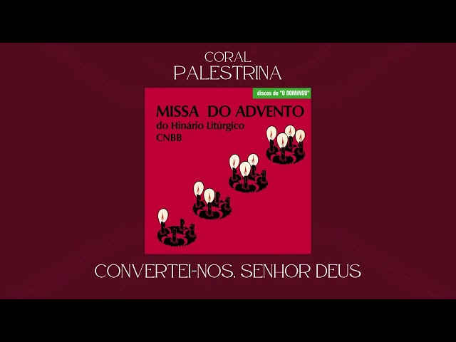 Preview do vídeo