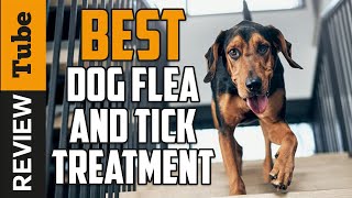 ✅ Flea Treatment: Best Dog Flea & Tick Treatment 2021 (Buyin