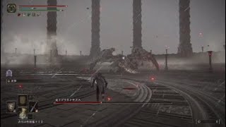 エルデンリング　竜王プラキドサクス　遺灰無し