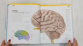 Видео о книге Атлас анатомии человека