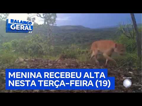 Pai descreve como ‘ataque predatório’ caso de menina ferida por onça em GO | Balanço Geral DF