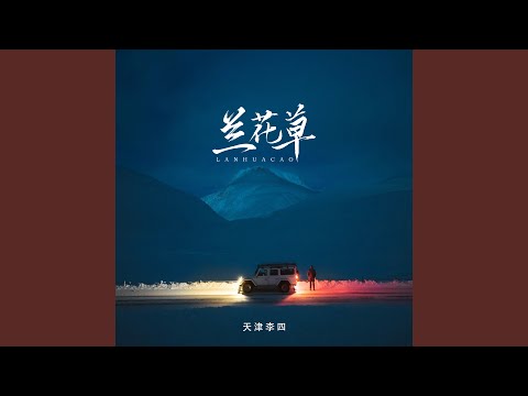 兰花草 （天津李四）