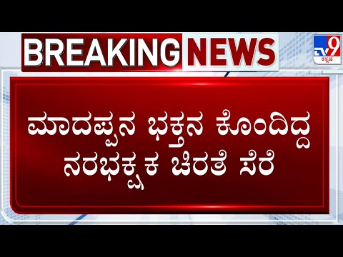 Leopard Captured At Male Mahadeshwara Hills: ಮಹದೇಶ್ವರ ಬೆಟ್ಟದ ರಂಗಸ್ವಾಮಿ ಒಡ್ಡು ಬಳಿ ಚಿರತೆ ಸೆರೆ