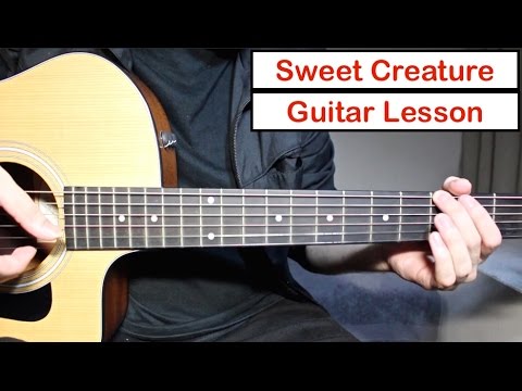 Harry Styles - Sweet Creature | Guitar Lesson (Tutorial) How to play Chords/Fingerpicking