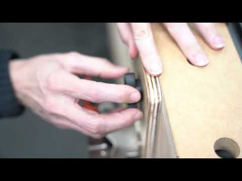 Pack of Dogs - Product Overview