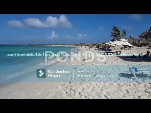 arachi beach aruba-eats everything x tiga x audion-let's go dancing (cameron stubbs remix)