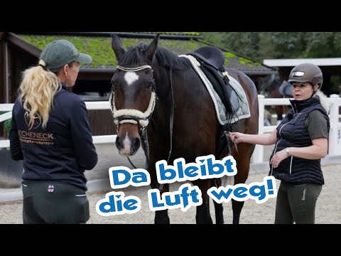 Pferd mit Zitterkrankheit läuft wie ein Giraffe – Reiterin muss hart anpacken