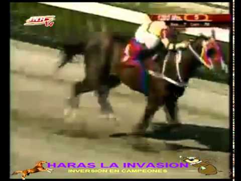 LA RINCONADA 5 CARRERA SABADO 31 DE ENERO DEL 2015