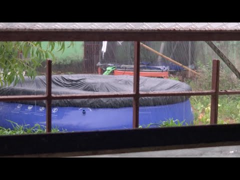 quando chove em um sábado