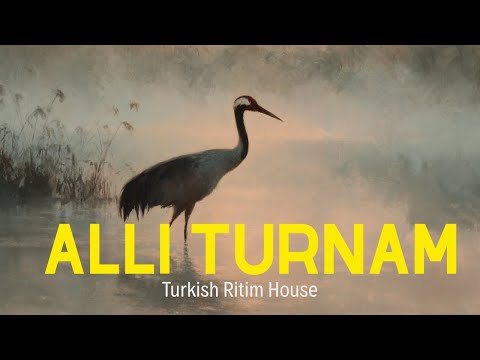 Allı Turnam Psychedelic Anatolian Rock Cover | Turkish Ritim House