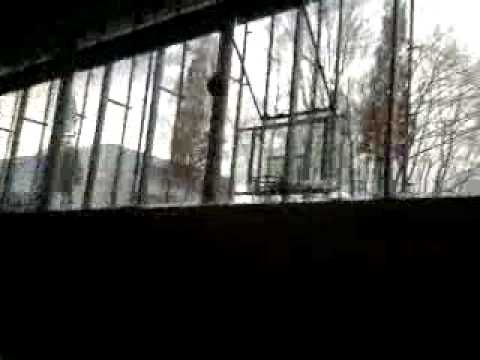 Bester Korbwurf 2011 * Sportunterricht 14.1.2011