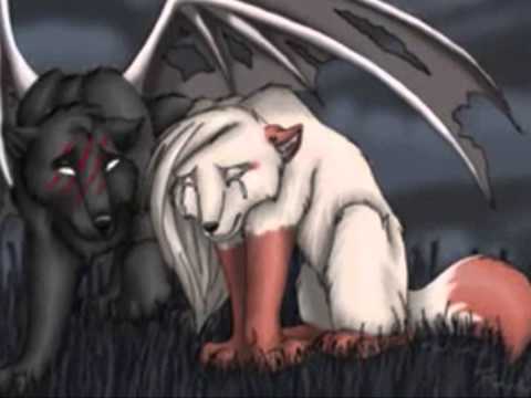 Anime Wolves Animal I Have Become