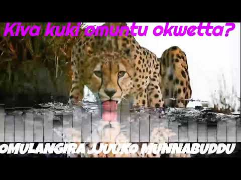 Kiva kuki omuntu okwetta? - Omulangira Jjuuko Munnabuddu