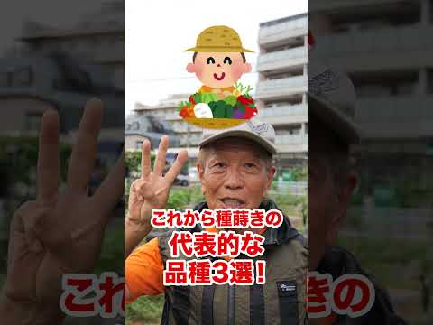 秋にトマトの後に何を植えることができますか？温室と庭用の7つの植物  庭園