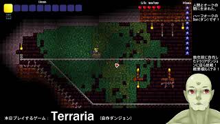 Terraria Dungeon (made by myself) Short.ver