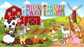 Download lagu Belajar nama dan suara hewan ternak | edukasi anak mp3 Download lagu Belajar nama dan suara hewan ternak | edukasi anak mp3