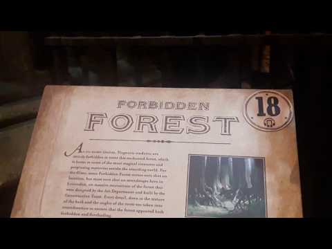FORBIDDEN FOREST 2018 (WARNER BROS. STUDIO TOUR LONDON) 