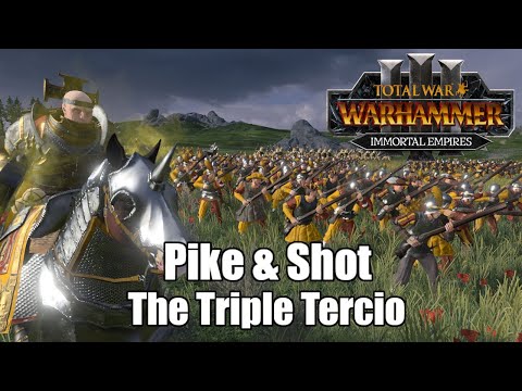 Total Tactics - Gunpowder Formations: The Triple Tercio | Total War: Warhammer 3