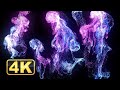 4K Abstract Liquid 1 Hour 4K Relaxing Screensaver For Meditation Relaxing Music UHD Calming Video