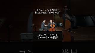 Download lagu 当日リハーサルの様子!サン=サーンス '白鳥' Saint Saens 'the Swan' mp3 Download lagu 当日リハーサルの様子!サン=サーンス '白鳥' Saint Saens 'the Swan' mp3