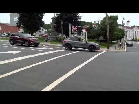 Sussex Elections Results