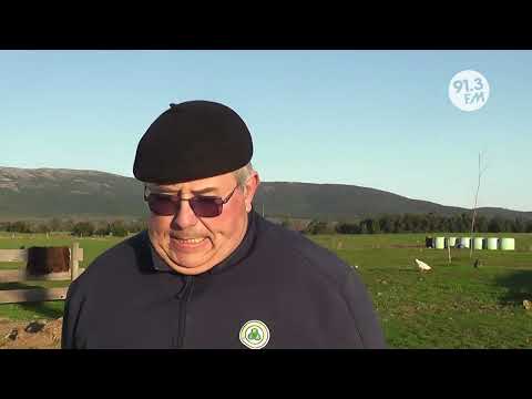 PROYECTO DE TAMBO OVINO EN GREGORIO AZNÁREZ