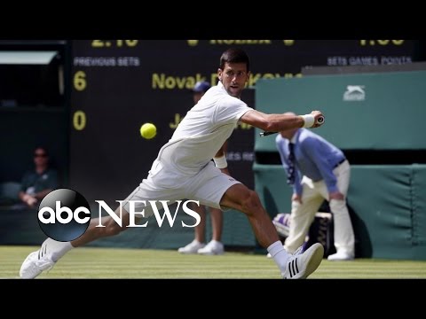 Wimbledon Highlights | Novak Djokovic Upset by Sam Querrey