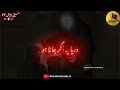 5 Muharram Status Shahadat Aun O Mohammad 5 Muharram Shahadat Aun O Muhammad Status